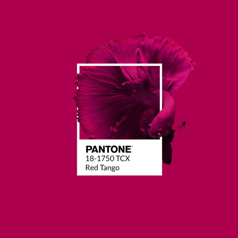 Nuancier Pantone 18-1750 TCX Red Tango avec un poisson combattant, création graphique de Juliette, bo école
