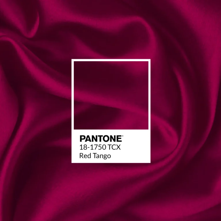 Nuancier Pantone 18-1750 TCX Red Tango sur un satin froissé, création graphique de Juliette, bo école