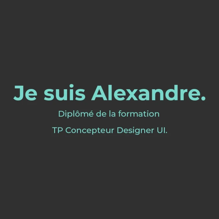 Avis Alexandre diplômé formation CDUI bo école